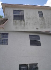 House Painting Tampa
