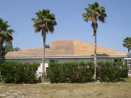 Sarasota tile roof cleaning home.