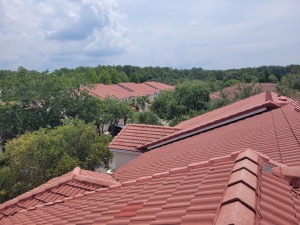 Tile roof cleaning Tampa