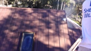 tampa roof cleaning