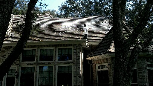 tile roof cleaning tampa palms